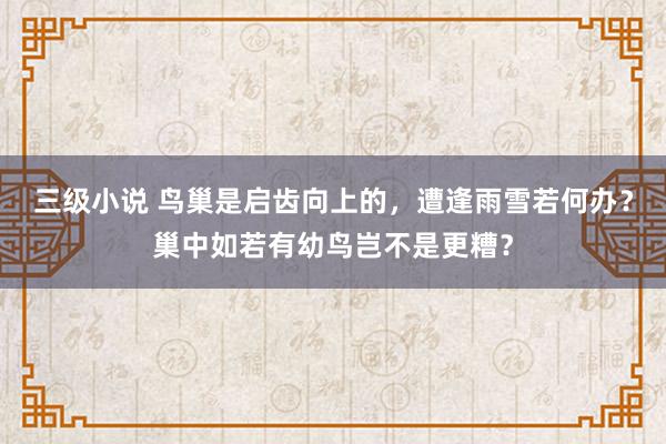 三级小说 鸟巢是启齿向上的，遭逢雨雪若何办？巢中如若有幼鸟岂不是更糟？