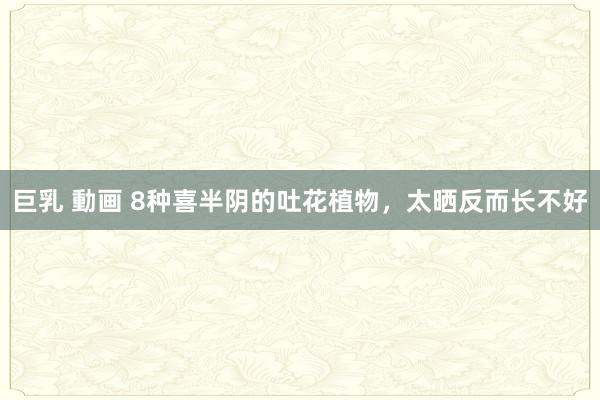 巨乳 動画 8种喜半阴的吐花植物，太晒反而长不好