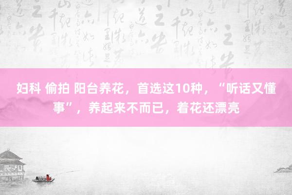 妇科 偷拍 阳台养花，首选这10种，“听话又懂事”，养起来不而已，着花还漂亮