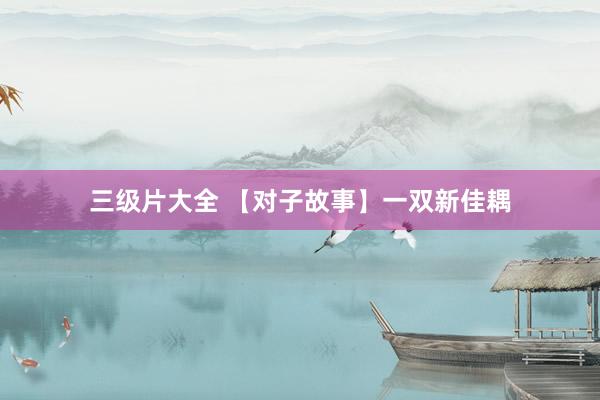 三级片大全 【对子故事】一双新佳耦