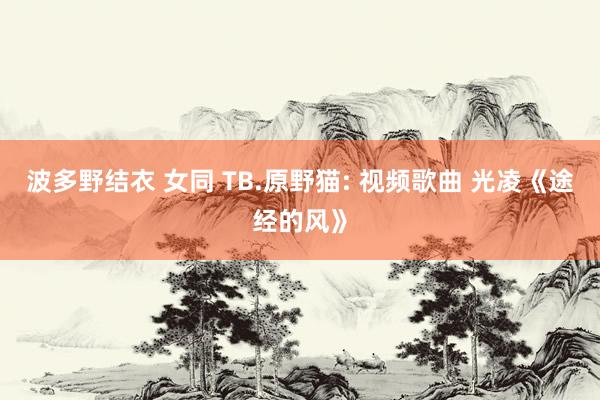 波多野结衣 女同 TB.原野猫: 视频歌曲 光凌《途经的风》